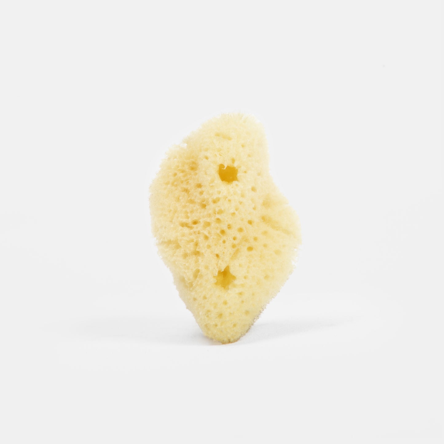 Neem Oil + Natural Sea Sponge